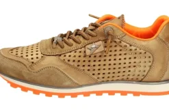 Cetti Herren Sneaker grün, silber, braun C848